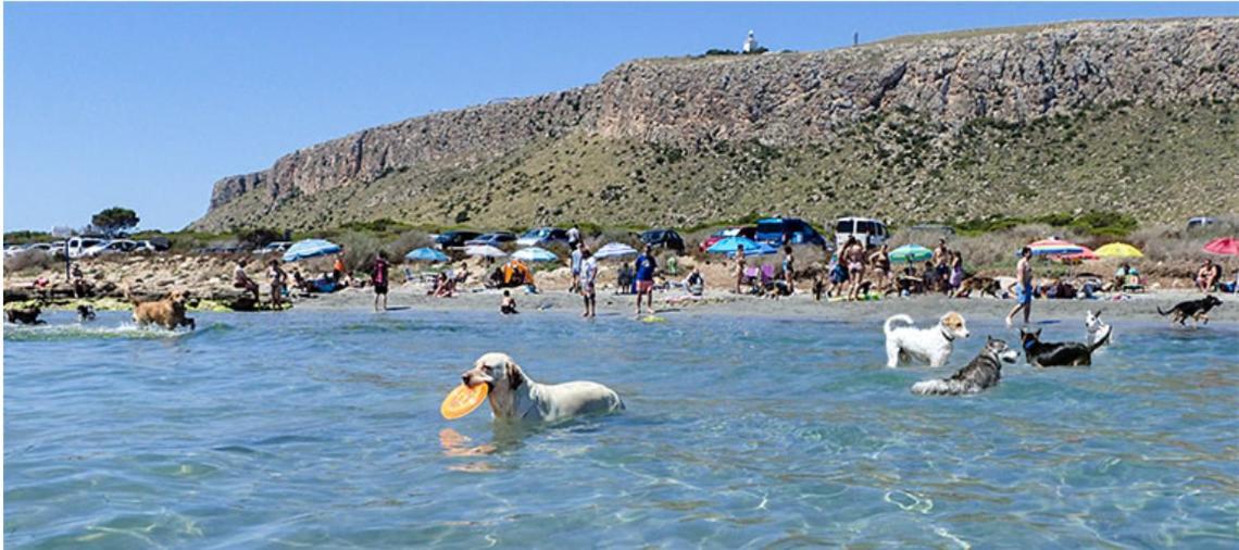 Puerto MarinoAdosado Tranquilo Con Piscina Y Vistas Al Marアパートメント エクステリア 写真